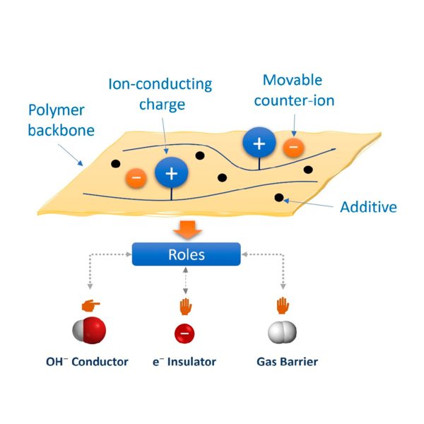 Anion Exchange Membranes