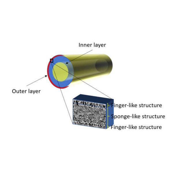 Dual layer hollow fiber membranes