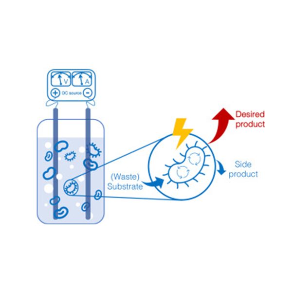 Electro-fermentation System